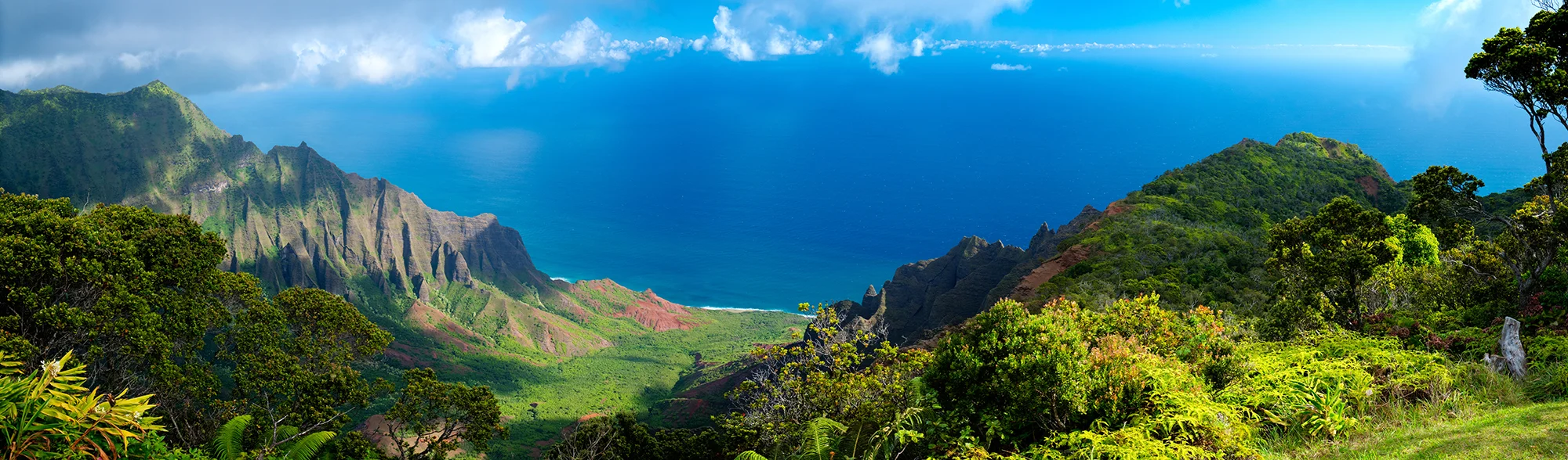 Background image of Honolulu